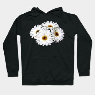 Daisies - Four White Daisies Hoodie